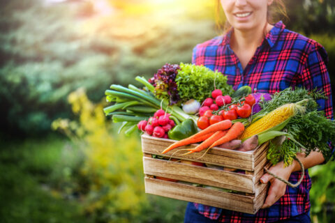 Farm Basket