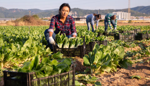 women at farm